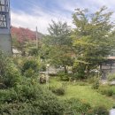 이오네스크 이미지