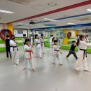 KTIGERS 태동태권도장 이미지