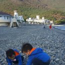오션힐 | <국내여행/거제도여행>남자의 바다 '학동몽돌해수욕장'