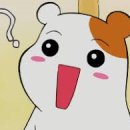 강빛사랑 이미지