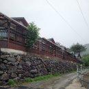 어비 포레스트 이미지