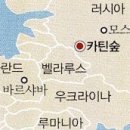 카틴