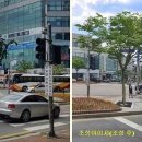 중앙지하차도 교통섬 이미지