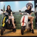 베스파유통