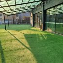 멍스토리 이미지