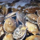 월드마크 이미지