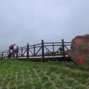 초원산장 이미지