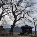 덕천1리 이미지