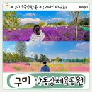 낙동강체육공원 하류제방화장실 | 대구근교 가을 나들이 추천 구미 낙동강체육공원 아스타국화 핑크뮬리 위치 자전거 대여
