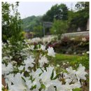 연안부부인전씨묘 | [용인]기흥구 마북동 여시관 2026.5.2