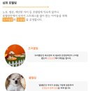놀러오개 애견유치원 애견호텔 에버랜드점 이미지