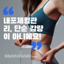 내포체형관리 이미지