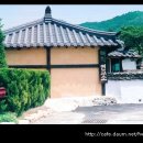 선살풀이춤 Daum카페
