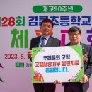 감물초등학교 이미지