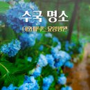 이화피닉스요양병원 | 나만 아는 여행명소, 이화피닉스요양병원 수국길에서 만난 푸른 힐링