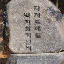 사하구-25 이미지