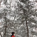 러브레터 이미지