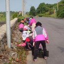 충혼묘지 이미지