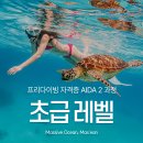 샘아쿠아라인 | 프리다이빙 입문 | AIDA2 취득 | 성남 아쿠아라인 | 마션다이브 강습 후기(1/3)