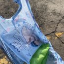 GS25 강화블루점 이미지