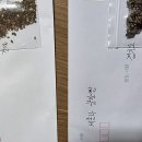 금님