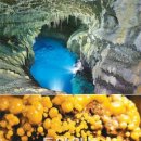 곶자왈거문오름 이미지