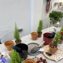 율마로-L | 포항 키즈 클래스 기업 출강 학교 출강 원예 수업