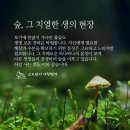 생의 공간 이미지