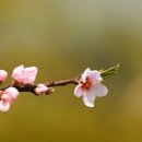 좋고좋다 이미지