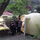 동화나라 애견 네이버블로그