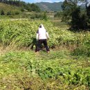 지성농장 이미지