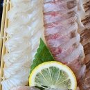 김삿갓노래연습장 이미지