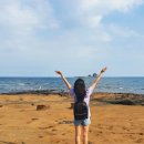 혼자제주여행 6일차. 강정포구, <b>헤이</b><b>브라더</b>, 사계해안, 산계원