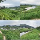 오수천 | 비만 오면 &#39;멍청이 다리&#39;로 불리는 사정