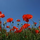 개포4-105 이미지