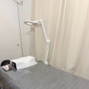 둔산전자타운 | 대전 용문역 속눈썹펌 유지력 최고 밀림뷰티 재방문 후기