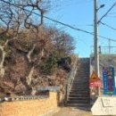 북영덕농협 축산항지점 네이버블로그
