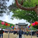 부여(외산)-14 | [충남 부여] 외산 만수산 무량사 석가탄신일, 어린이날 보령댐 드라이브 데이트 길