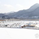 정선 고드름축제재래시장 먹거리와 겨울 스포츠의 향연, 정선 고드름축제 이미지