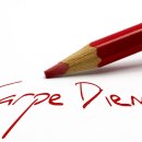 카르페디엠 이미지