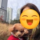 달달띵스