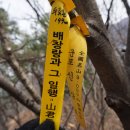 로23 건너편 이미지
