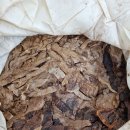 학진농장 이미지