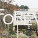 상사포레브(FOREV)