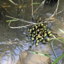 죽림여천농협 이미지