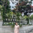 베테카텐 네이버블로그