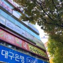 뉴월드약국 네이버블로그