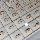 명성다방 이미지