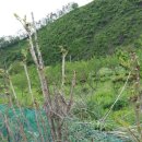 개동농장 이미지