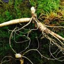 (주)위코리아 이미지